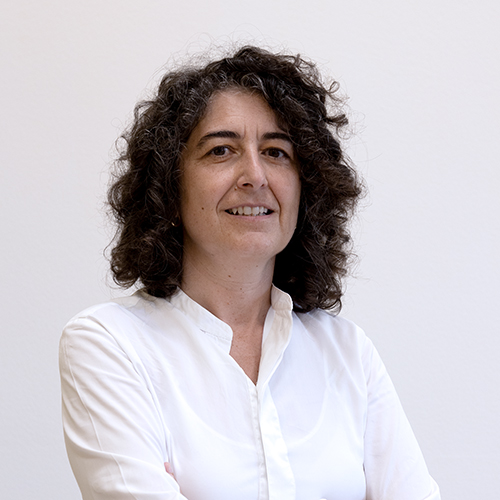 Freddi Maria