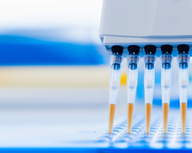Anna Mondino è la nuova direttrice scientifica di Fondazione AIRC per la ricerca sul cancro
