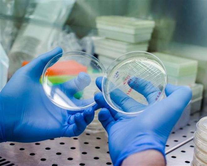 Tre progetti UniSR tra i vincitori del bando Multi-round Telethon per le malattie genetiche rare