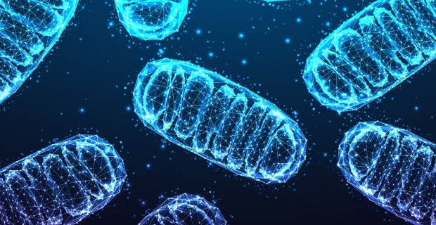 A New Approach to Enhance Immunotherapy in Multiple Myeloma