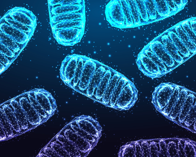 A New Approach to Enhance Immunotherapy in Multiple Myeloma