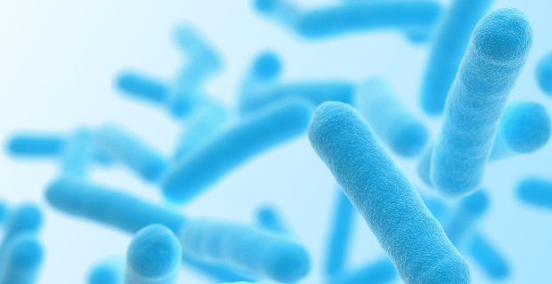 The microbiome as an ally against myeloma