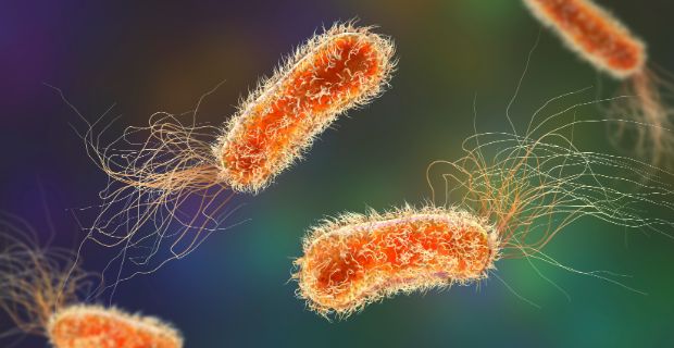 Uncovering the hidden role of bacterial microRNAs in chronic respiratory diseases