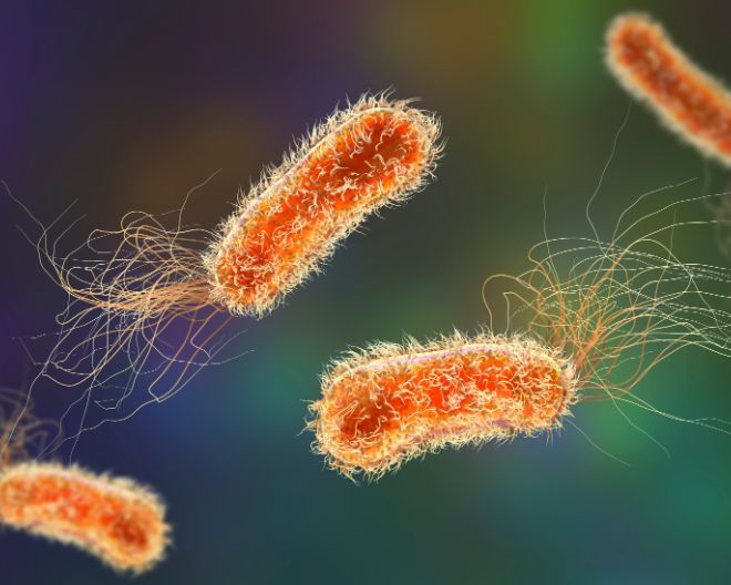 Uncovering the hidden role of bacterial microRNAs in chronic respiratory diseases