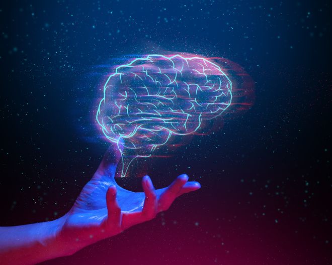 SINe-INS Conference: New Ways of Investigating the Brain –Postponed - May 2021