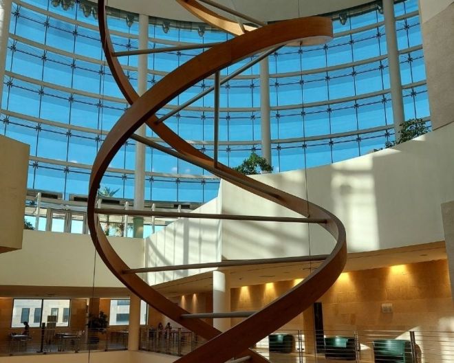 THE World University Rankings 2022: ottimi risultati per UniSR