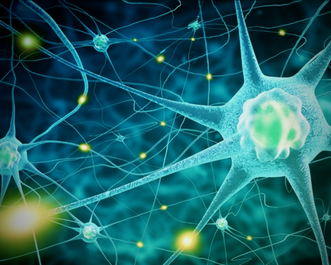 Progetto NeOn: UniSR nel consorzio di ricerca guidato da Dompé